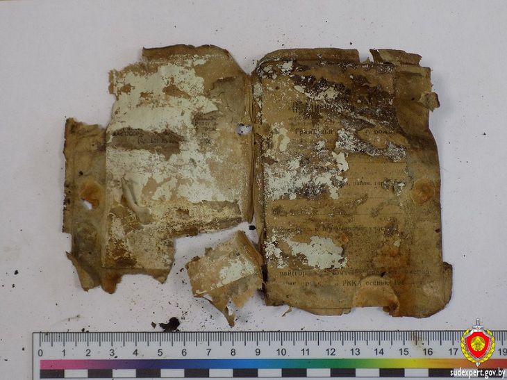 Судебные эксперты помогли установить личность красноармейца, останки которого найдены при раскопках экспертиза