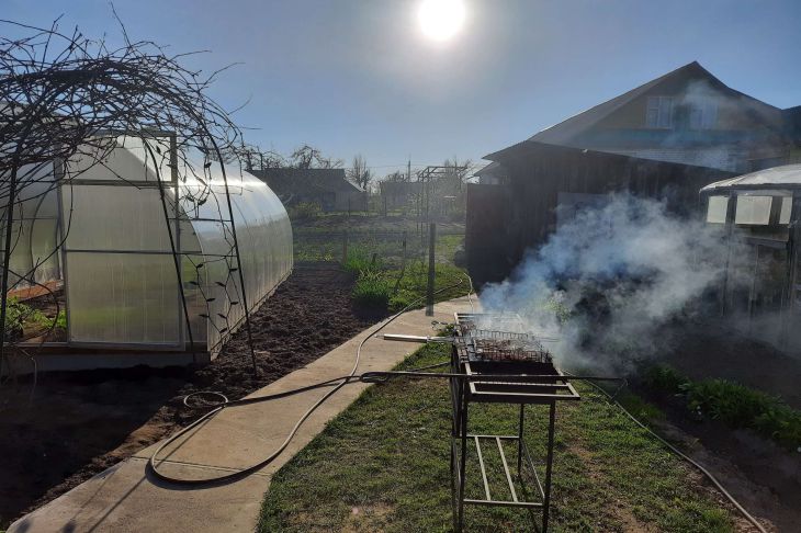 Какие пары растений опытные огородники никогда не станут высаживать рядом огород