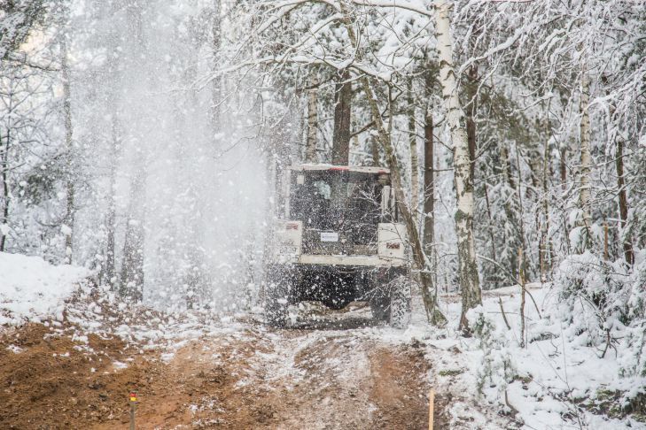 Метель, сильный ветер и очень скользко. Такая погода ждет белорусов 1 декабря лес