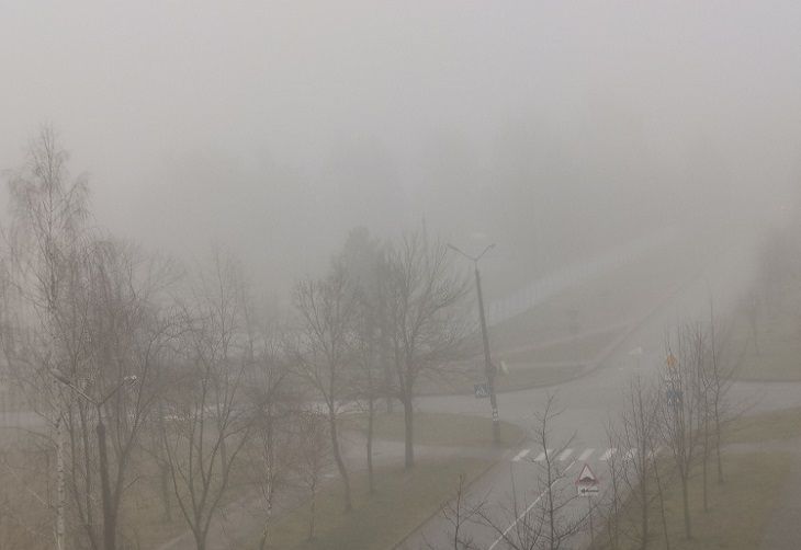 Коварная погода. В Беларуси объявлен оранжевый уровень опасности туман