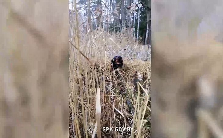 ГПК: польские силовики продолжают травить беженцев газом беженцы