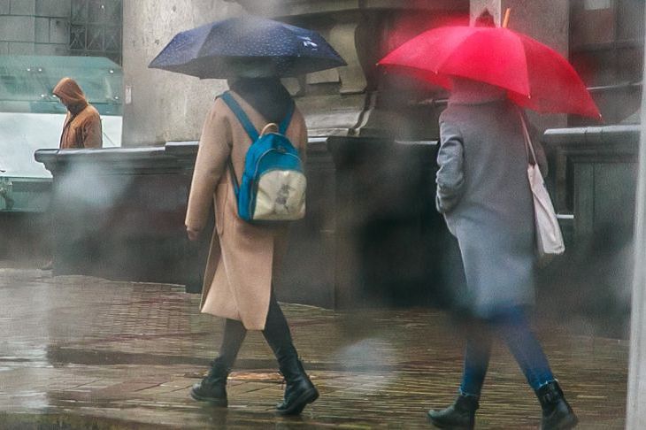 Сильный ветер и дожди. Какая погода будет в Беларуси на выходных погода