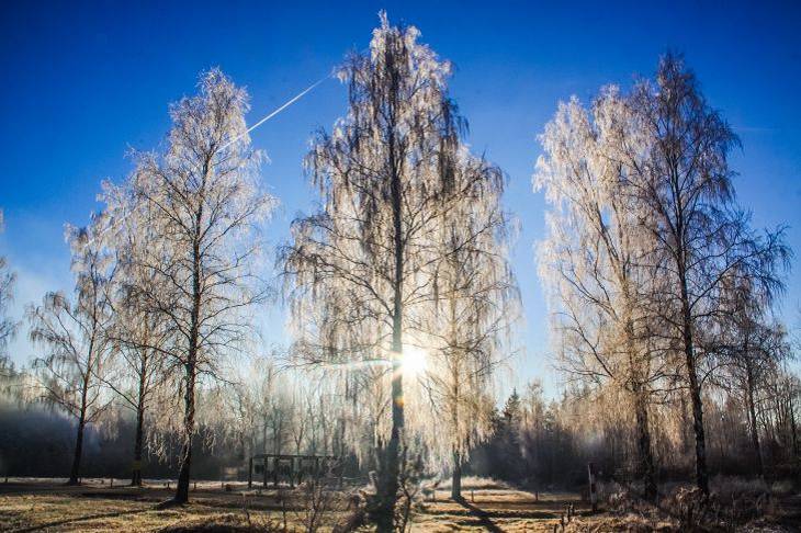 Зима будет холодной: что говорят народные приметы на 11 ноября погода