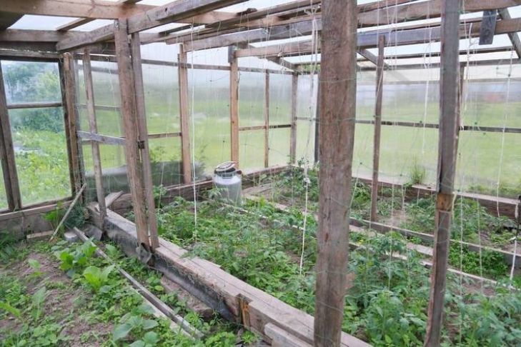 Что делать с почвой в теплице осенью после сбора урожая: досадная ошибка огородника Что делать с почвой в теплице осенью после сбора урожая: досадная ошибка огородника