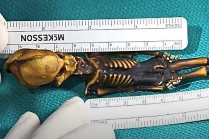 Стало известно о происхождении «инопланетянина» из пустыни Атакама Скелет Линейка