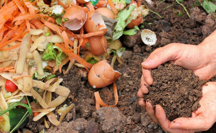 Нужно ли укрывать компостную кучу на зиму: о чем спорят огородники