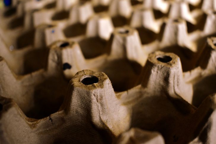 Как хитрые дачники используют лоток для яиц на огороде: неожиданный вариант применения лоток