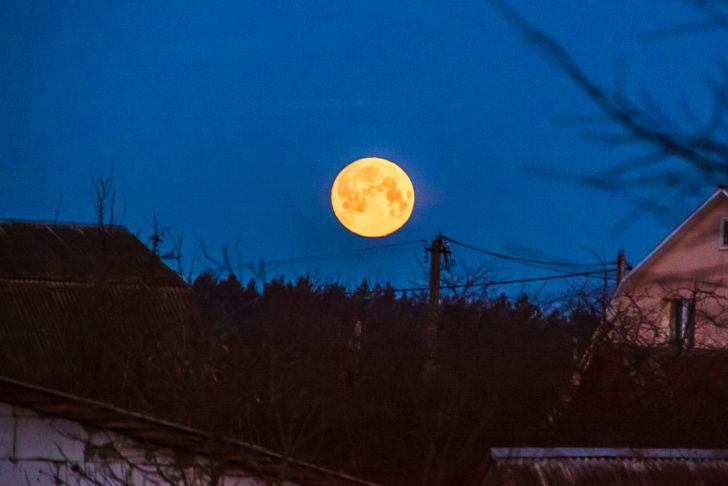 Луна закроет Марс в ночь на 1 января. Смогут ли увидеть затмение белорусы