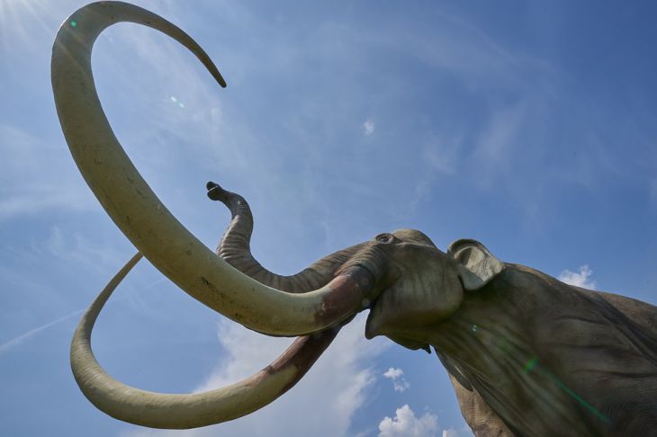В Великобритании обнаружено целое «кладбище мамонтов»