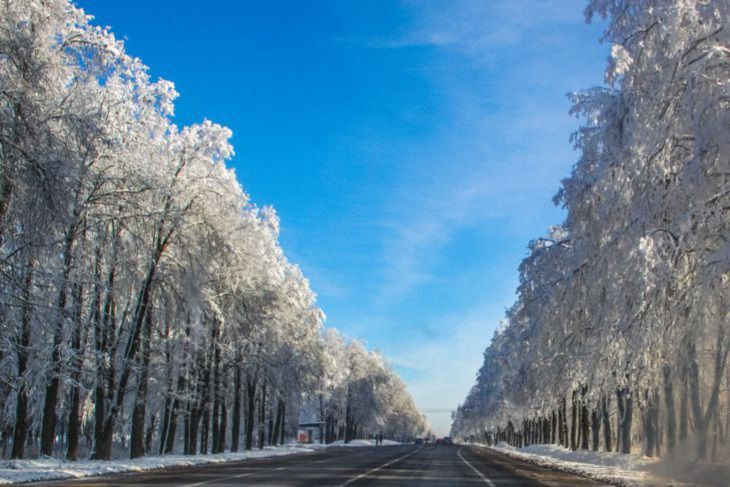 Циклонические вихри на неделе 6-12 декабря накроют Беларусь