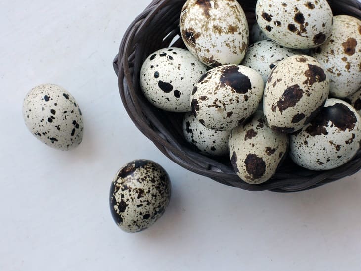 Как правильно варить перепелиные яйца: ошибки, которые допускают хозяйки