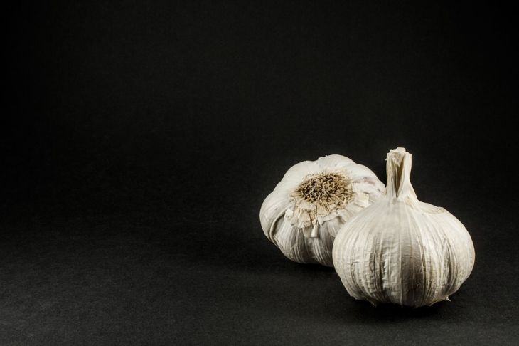 Как при помощи бутылки сажать чеснок в 2 раза быстрее и удобнее: хитрость, о которой не расскажет сосед Чеснок