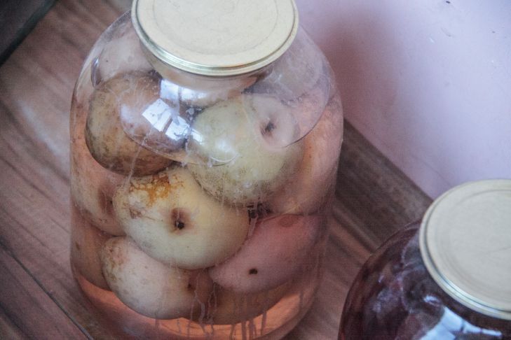 Как стерилизовать банки холодным способом: без духовки и кипятка