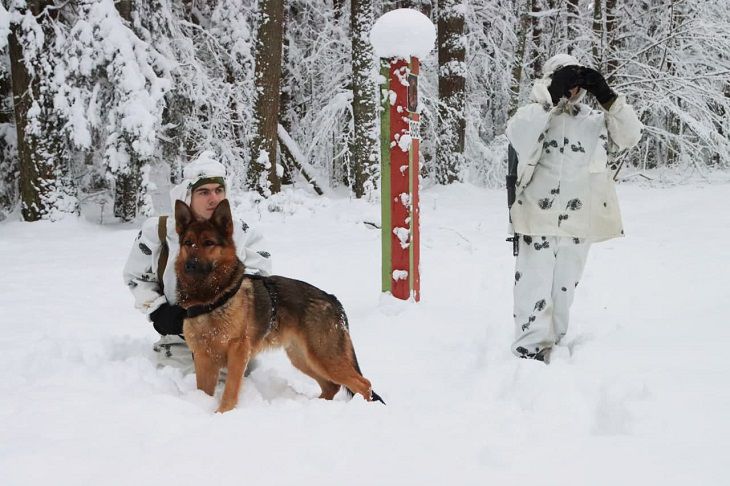 пограничники