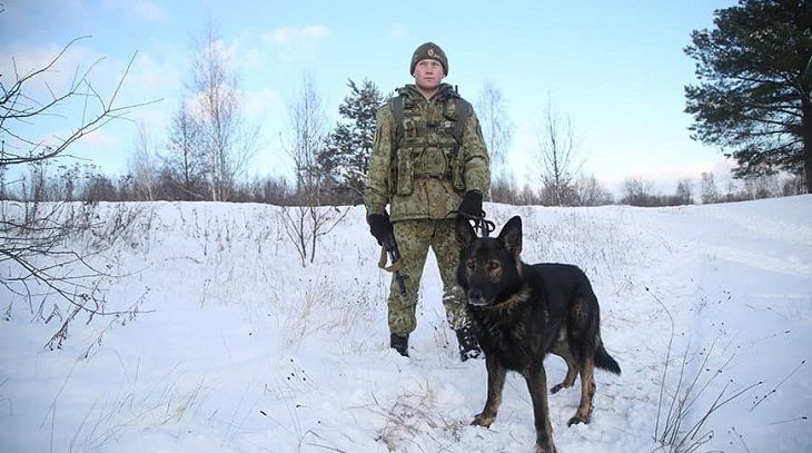 пограничники