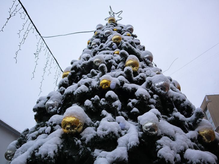 Какой будет погода в Беларуси на Рождество