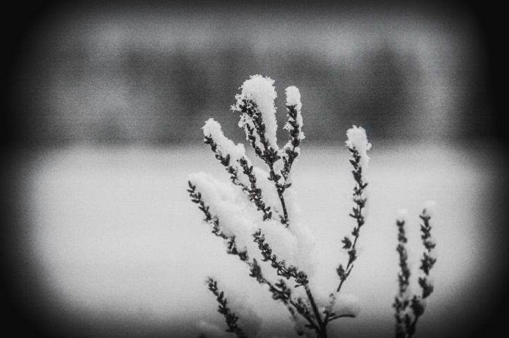 Народные приметы на 10 января: грядущее лето будет холодным и дождливым погода