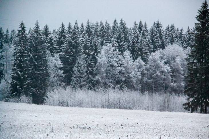 В воскресенье в Беларусь возвращается зима – обещают снег и сильный ветер