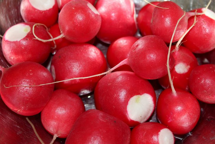 какое удобрение нужно для выращивания марихуаны какое удобрение нужно для выращивания марихуаны