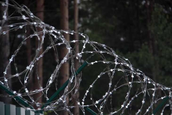 Польша начала строить на границе с Беларусью забор за $400 млн