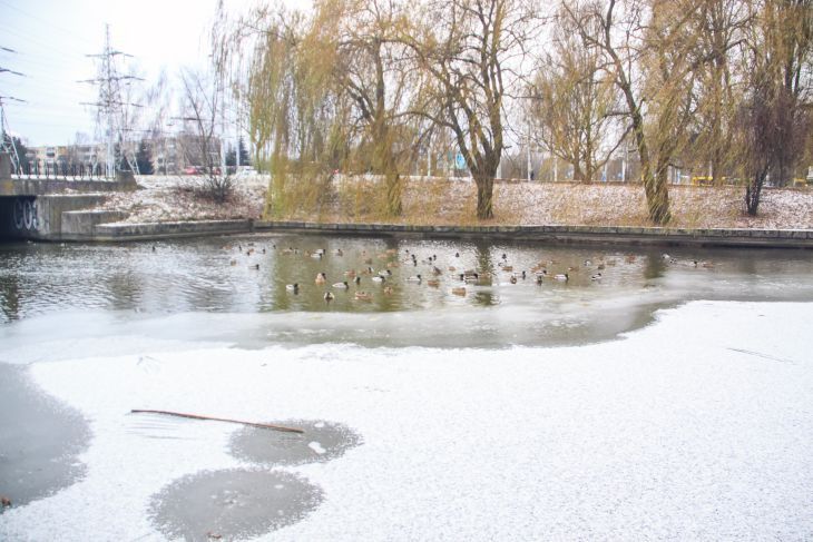 На улице Октябрьской в Минске утонула женщина река