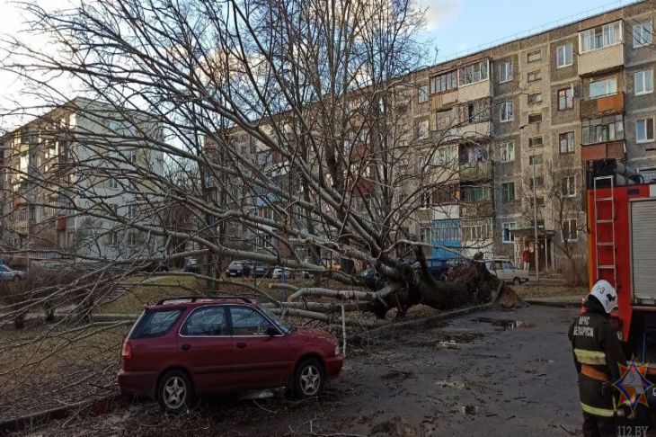 Дерево МЧС Автомобиль