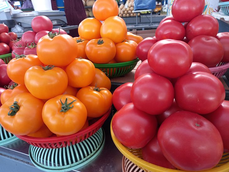 Посев семян томатов новым способом: что надо об этом знать