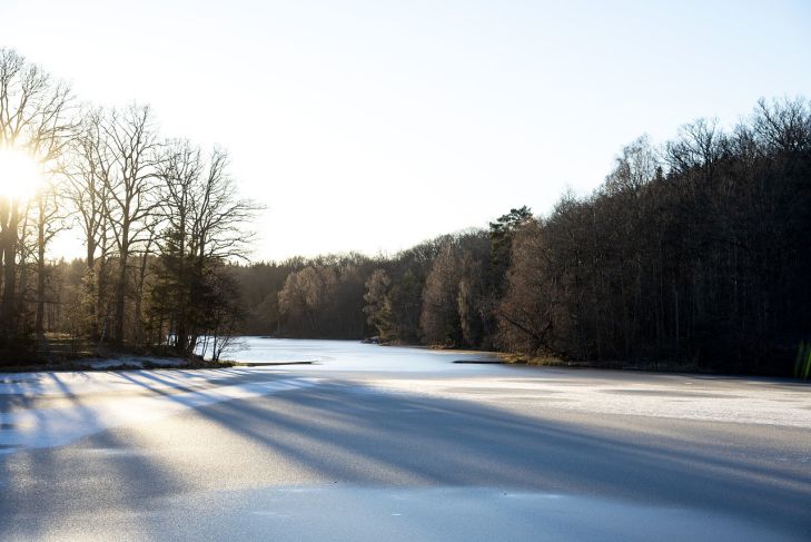 Какой сегодня праздник: 27 февраля 2022 года зима