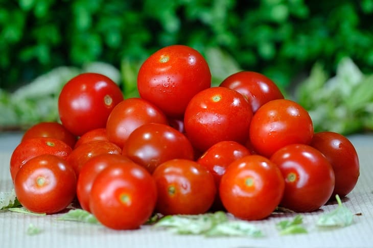 На каком расстоянии сажать томаты в грядке, чтобы получить большой урожай: об этом должен знать каждый дачник