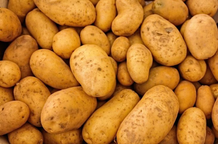 Как вырастить картофель в 2 раза крупнее и вкуснее, чем у соседа: хитрости для богатого урожая