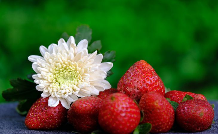 2 удачных сорта клубники, которые не подведут даже в неурожайный год 