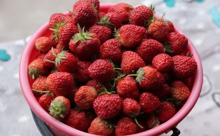 Подкормите этим весной клубнику — и пожинайте весь сезон крупные и сладкие ягоды