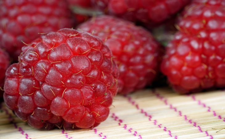 Чем подкормить малину, чтобы собрать рекордный урожай ягод: эффективный и бесплатный способ Чем подкормить малину, чтобы собрать рекордный урожай ягод: эффективный и бесплатный способ