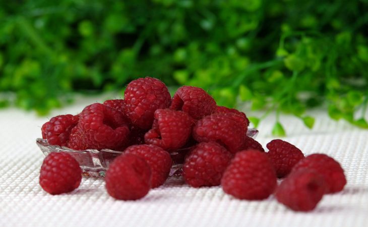 Этого не хватает малине весной: чем подкормить кустарник в апреле в первую очередь