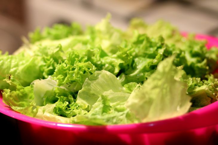 Почему листовой салат горчит на грядке: причины и способы устранения проблемы