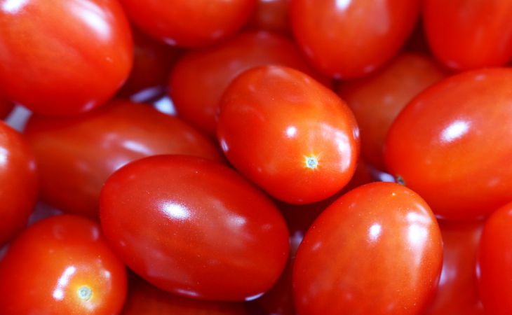 Что нужно класть в лунку при посадке томатов, чтобы кусты не болели и завалили урожаем