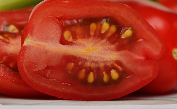 ТОП-3 сорта томатов, которые растут сами собой: под силу вырастить даже ленивым дачникам 