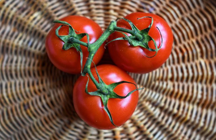 2 легендарных сорта томатов родом из СССР: с мясистой мякотью и настоящим помидорным вкусом