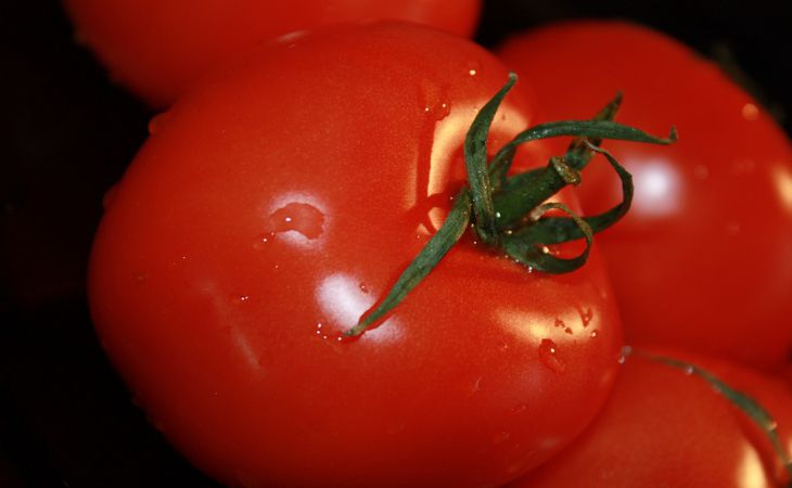 3 лучших сорта томатов, которым можно доверять на 100%: дают богатые урожаи без перебоев
