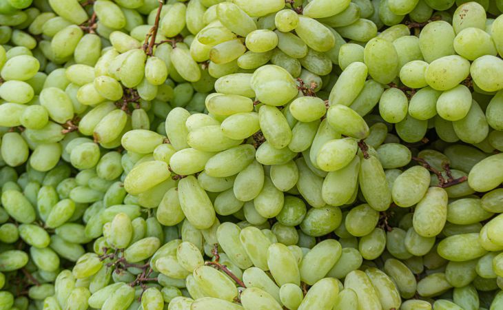 Как из кислого или неспелого винограда сделать сладкий спелый всего за 20 секунд: простой способ