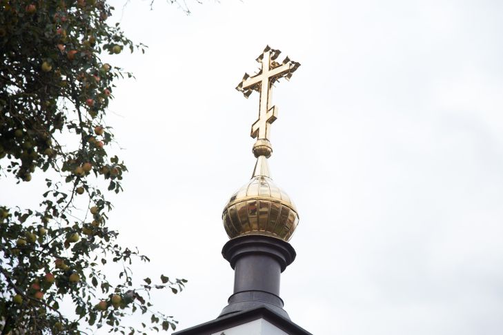 Можно ли выбрасывать освященную вербу? Священник рассказал, как поступить Крест Храм