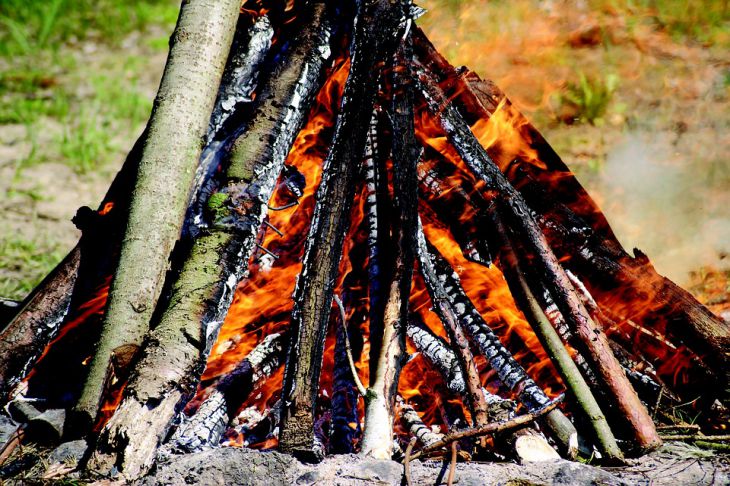 На каких дровах умные люди не станут готовить шашлык: это должен знать каждый Костер