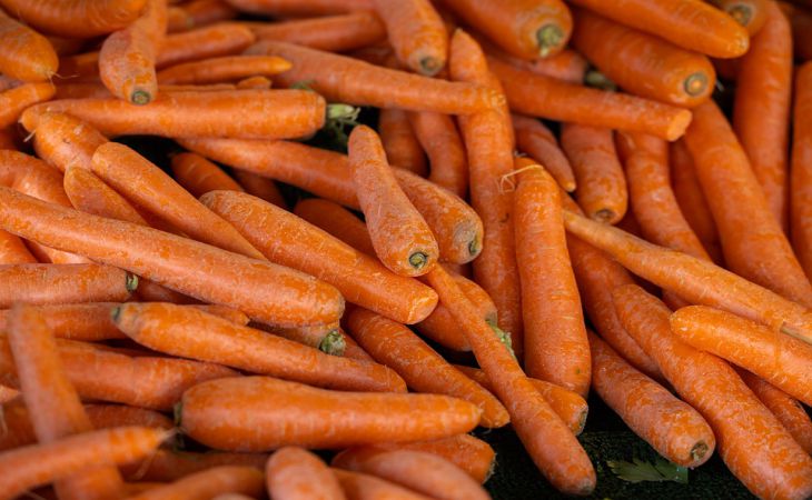 Почему морковь бледная и как бороться?