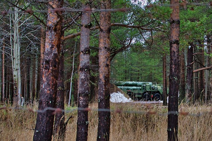 В Курской области сбили два украинских БПЛА лес