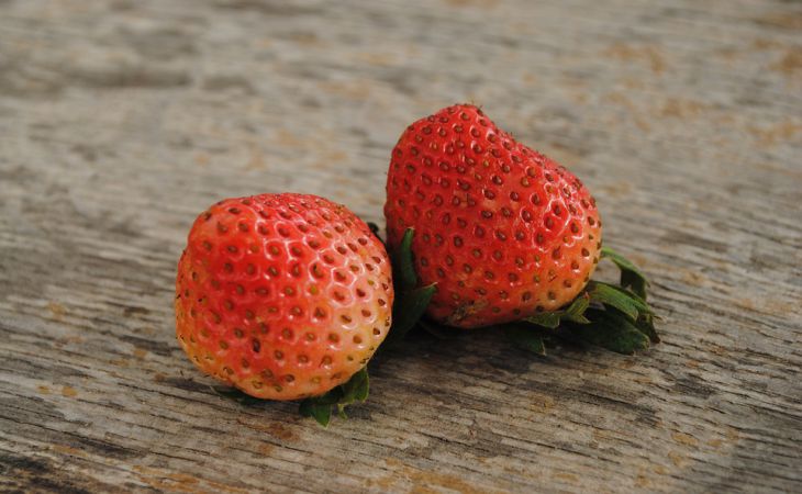 Главное в уходе за клубничной грядкой в апреле: 2 дела нельзя забыть дачникам 