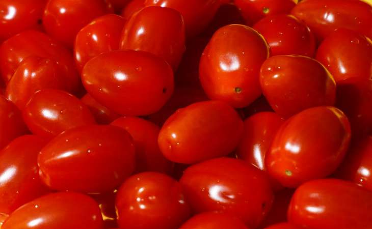 Надежная подкормка, от которой томаты без ума: что нужно обязательно класть в лунки 