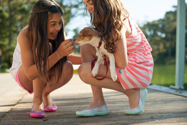 Эксперт назвал 5 пород собак, идеально подходящих для детей