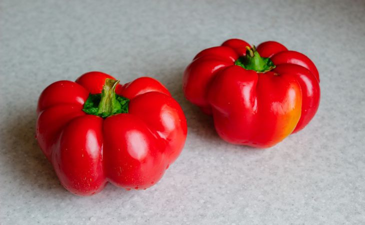 Что не любит рассада перца: 3 «нельзя» в уходе, которые губят сеянцы и лишают урожая Что не любит рассада перца: 3 «нельзя» в уходе, которые губят сеянцы и лишают урожая