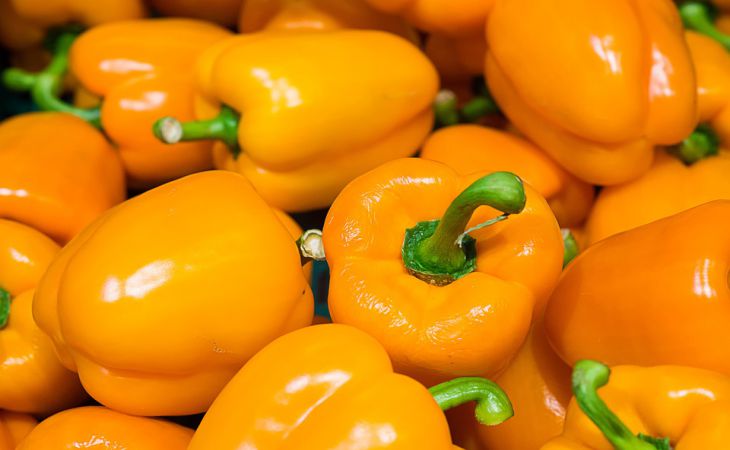 Урожая не ждите: 3 роковых ошибки в уходе за рассадой перцев, которые они не простят Урожая не ждите: 3 роковых ошибки в уходе за рассадой перцев, которые они не простят