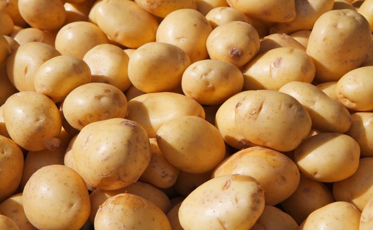 Что из удобрений добавить при посадке картошки, чтобы проволочника точно не было